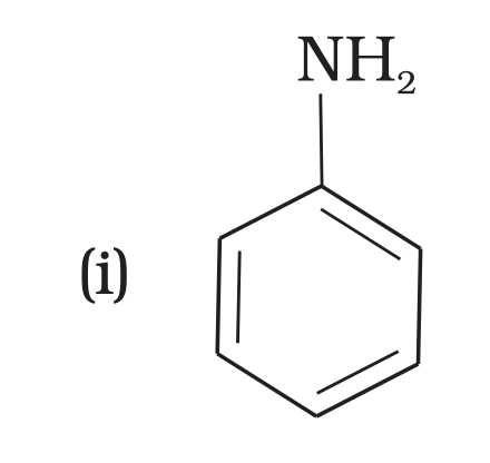 NCERT Exemplar Unit 13 Q24 option (i) aniline