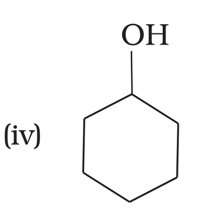 NCERT Exemplar Unit 13 Q23 option (iv) cyclohexanol