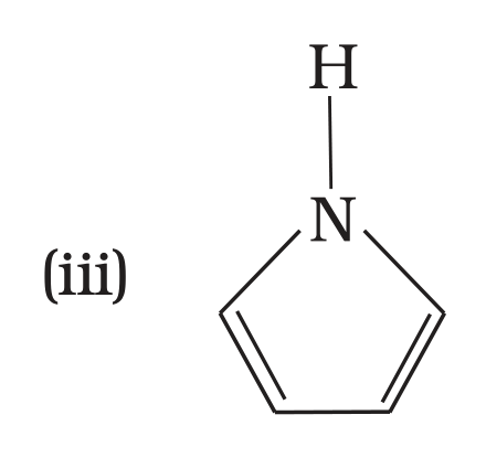NCERT Exemplar Unit 13 Q24 option (iii) pyrrole