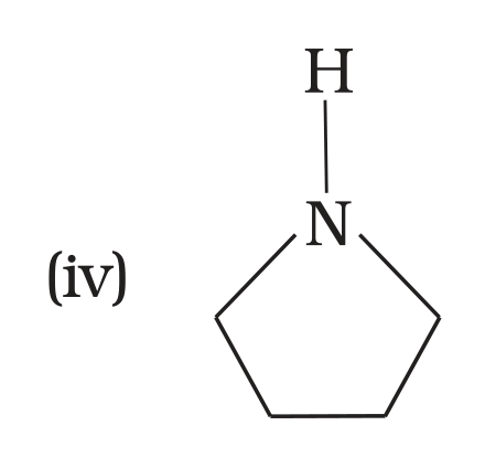 NCERT Exemplar Unit 13 Q24 option (iv) pyrrolidine