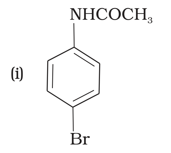 NCERT Exemplar Unit 13 Q32 option (i) p-bromoacetanilide