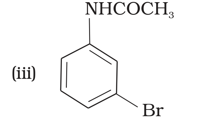 NCERT Exemplar Unit 13 Q32 option (iii) m-bromoacetanilide