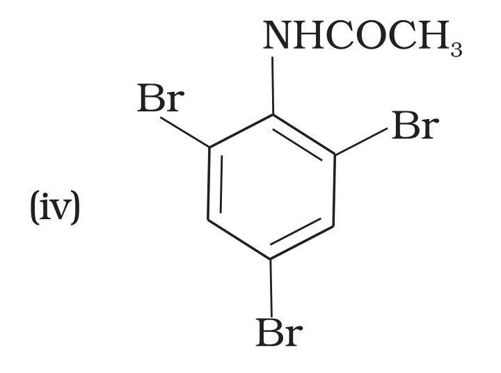 NCERT Exemplar Unit 13 Q32 option (iv) 2,4,6-tribromoacetanilide