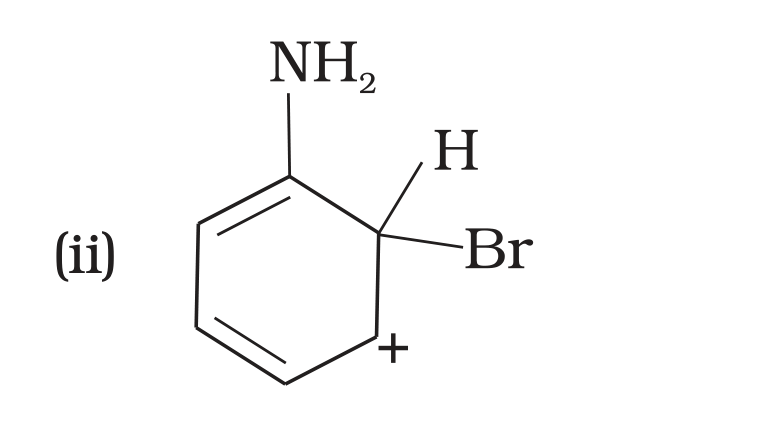 NCERT Exemplar Unit 13 Q33 option (ii) sigma complex with ring positive charge