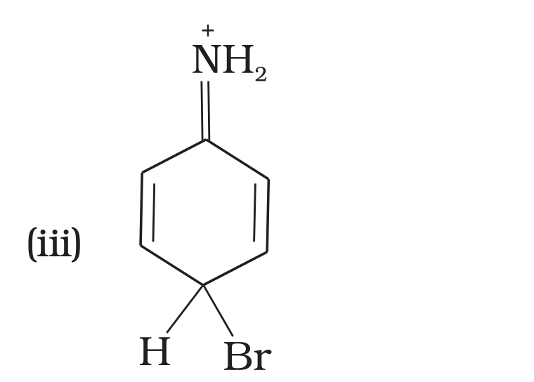 NCERT Exemplar Unit 13 Q33 option (iii) iminium-type sigma complex