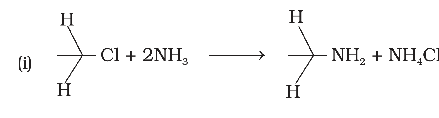 NCERT Exemplar Unit 13 Q35 option (i) CH3Cl + 2NH3 -> CH3NH2 + NH4Cl