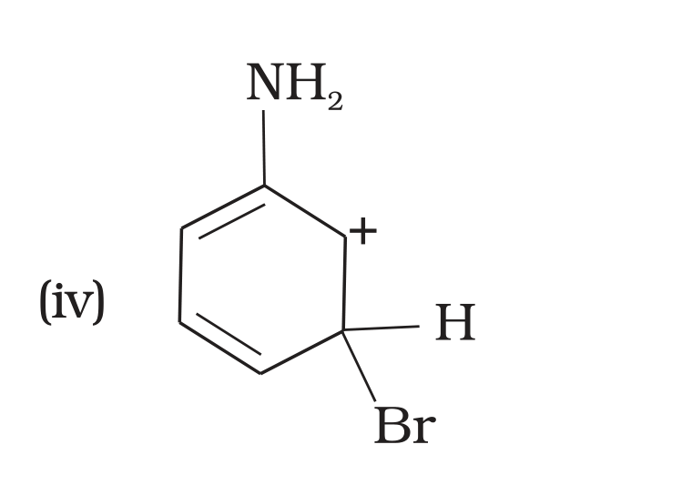 NCERT Exemplar Unit 13 Q33 option (iv) ring carbocation structure