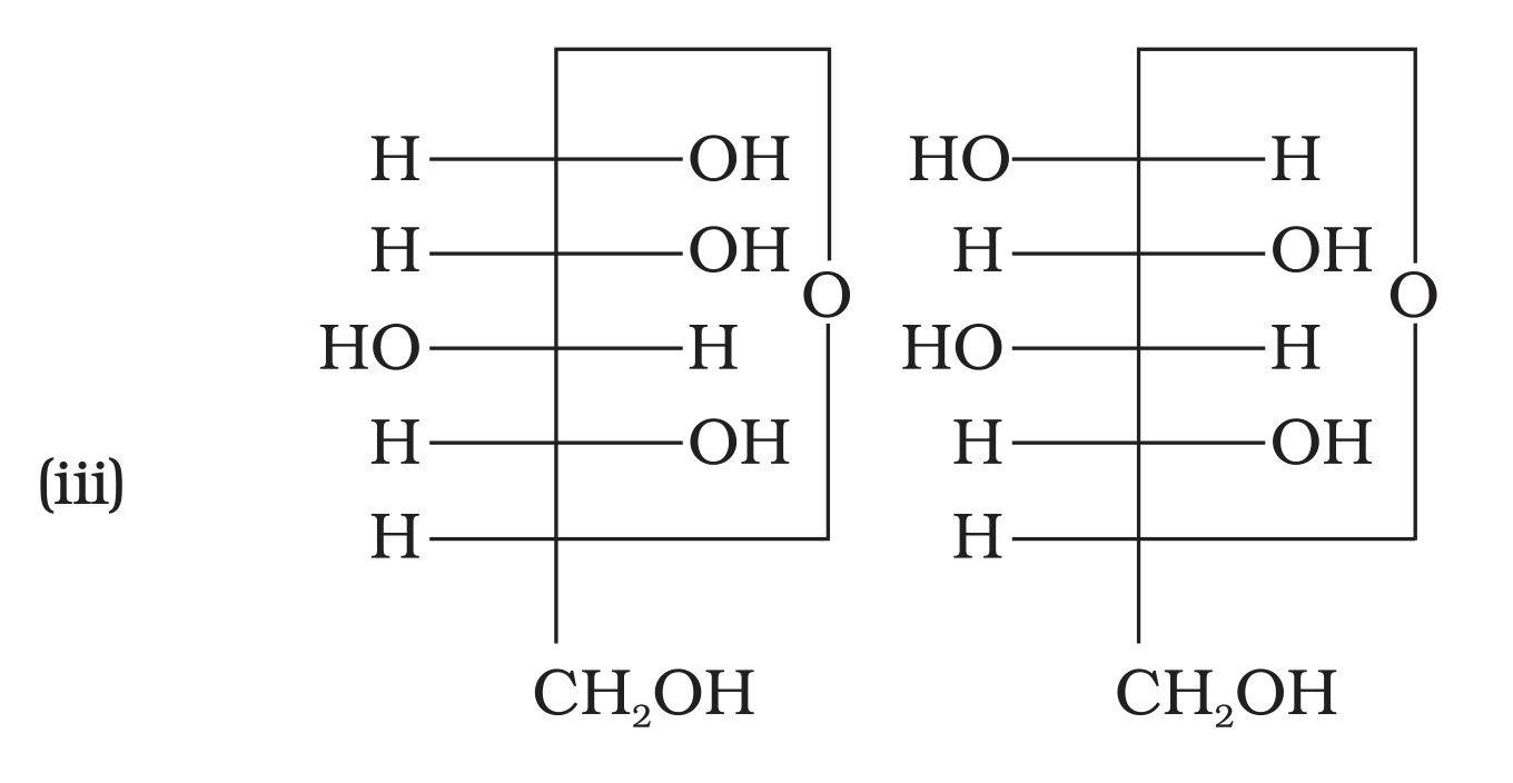 NCERT Exemplar Unit 14 Q4 option (iii) cyclic hemiacetal pair