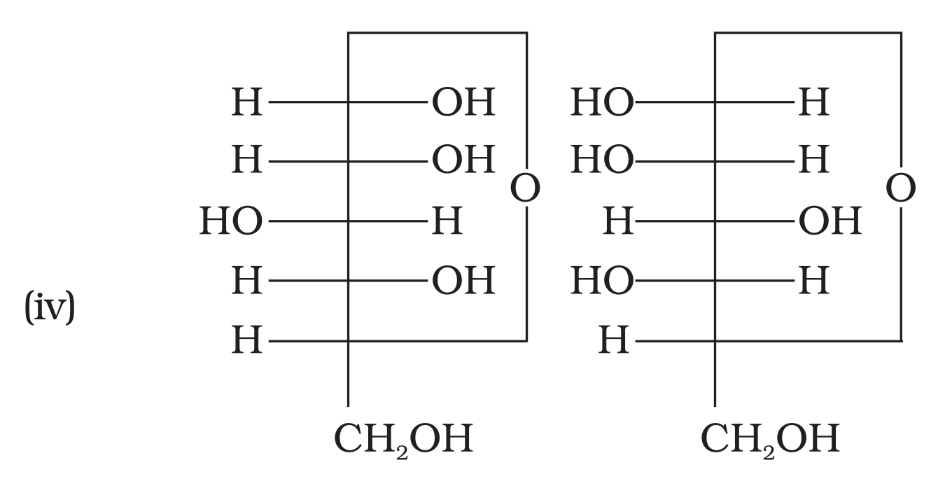 NCERT Exemplar Unit 14 Q4 option (iv) cyclic hemiacetal pair