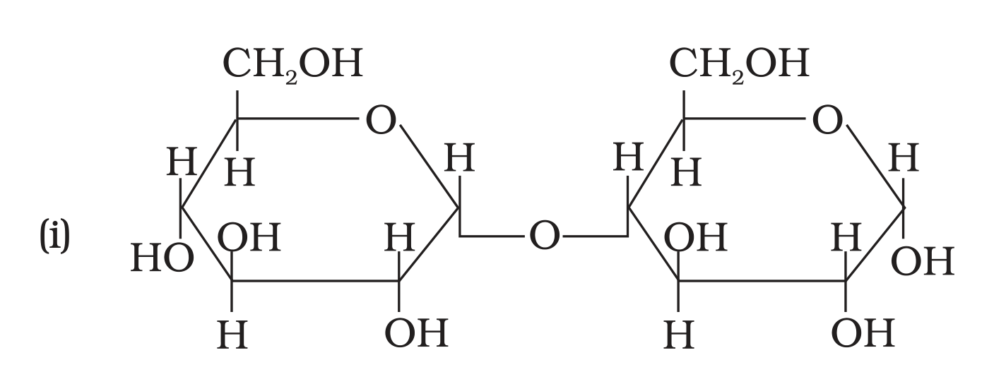 NCERT Exemplar Unit 14 Q6 option (i) disaccharide structure