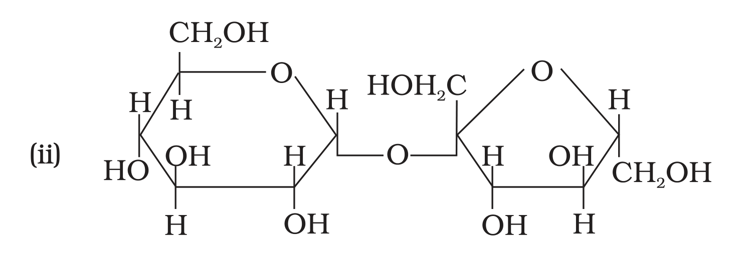 NCERT Exemplar Unit 14 Q6 option (ii) sucrose structure
