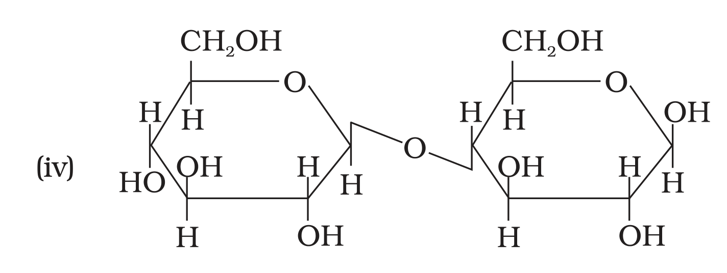 NCERT Exemplar Unit 14 Q6 option (iv) disaccharide structure