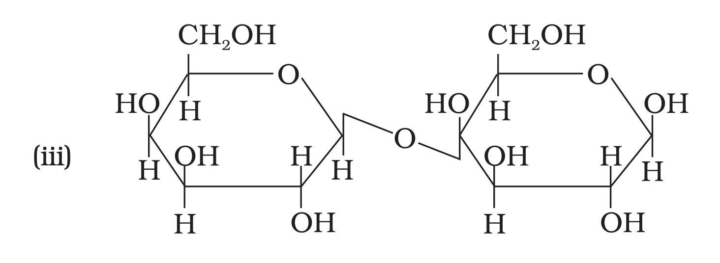 NCERT Exemplar Unit 14 Q6 option (iii) disaccharide structure