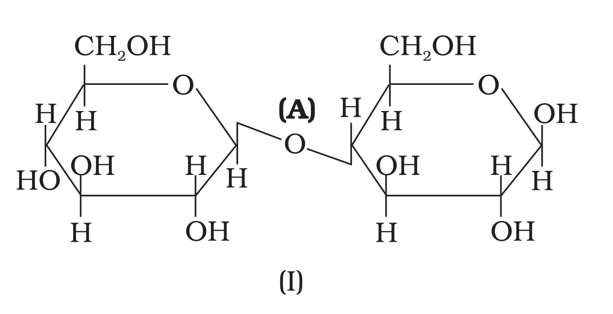 NCERT Exemplar Unit 14 Q19 printed structure (I), linkage A