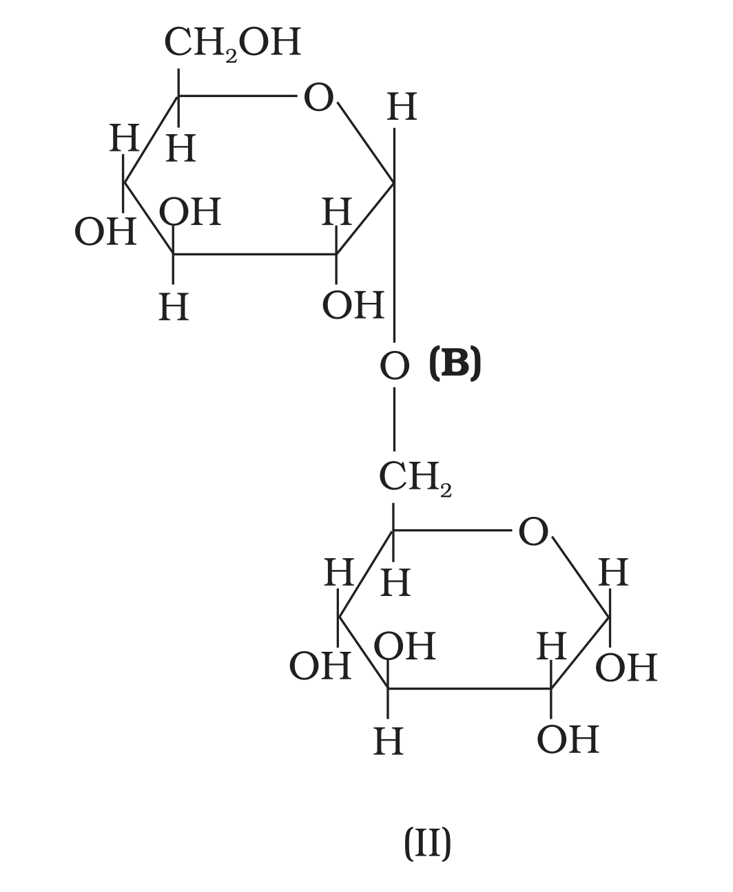 NCERT Exemplar Unit 14 Q19 printed structure (II), linkage B