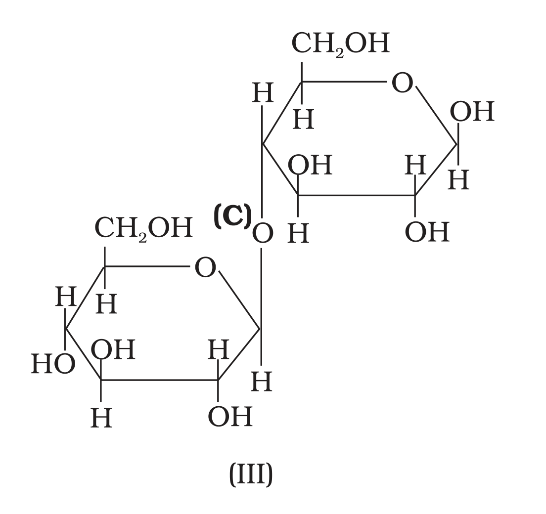 NCERT Exemplar Unit 14 Q19 printed structure (III), linkage C