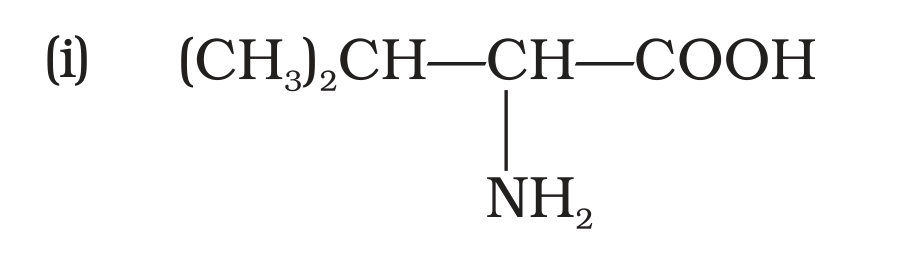 NCERT Exemplar Unit 14 Q23 option (i) valine structure