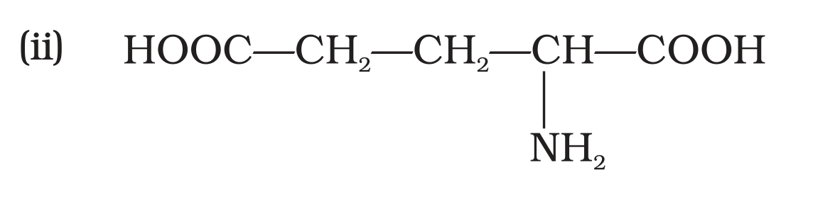 NCERT Exemplar Unit 14 Q23 option (ii) glutamic acid structure