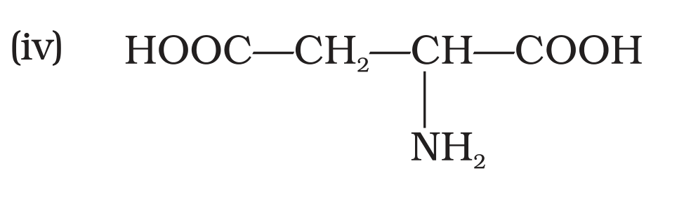 NCERT Exemplar Unit 14 Q23 option (iv) aspartic acid structure