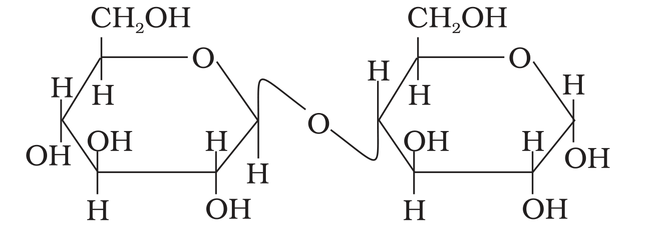 NCERT Exemplar Unit 14 Q62 printed maltose structure
