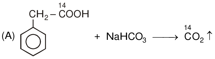N016-A-1.png