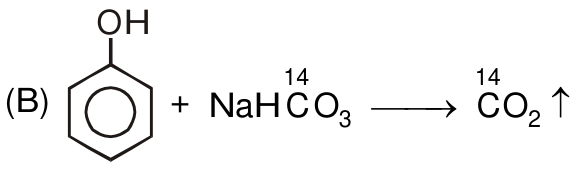 N016-B-2.png
