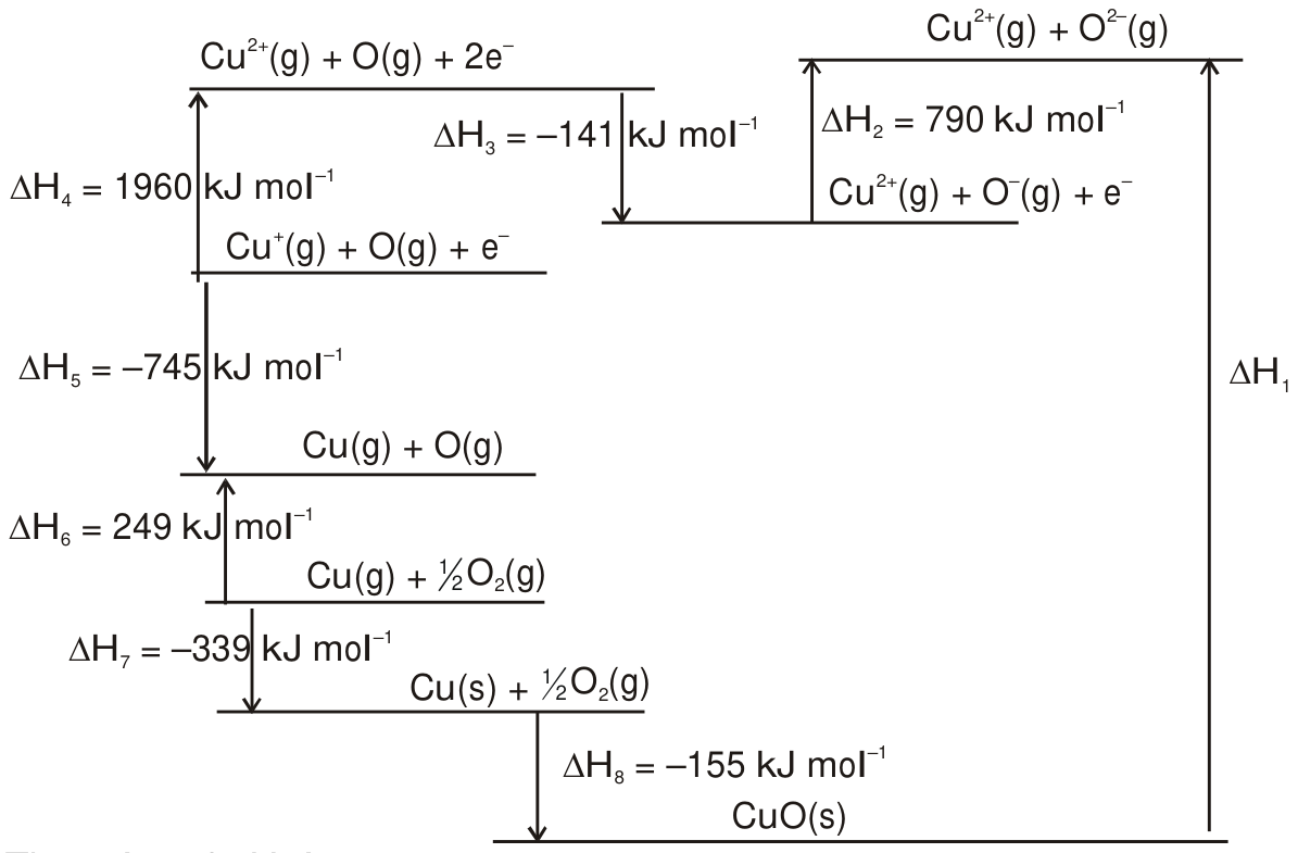 N076-stem-1.png