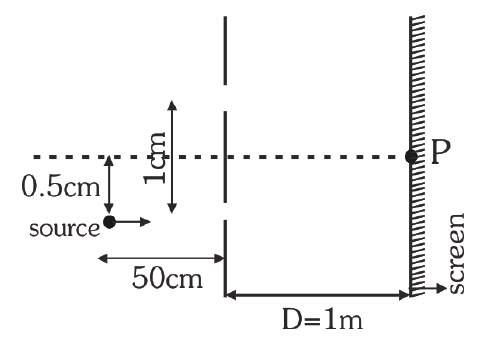 YDSE with point source offset 0.5 cm, 50 cm from slits, screen at D = 1 m