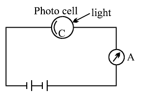 q100_fig.png