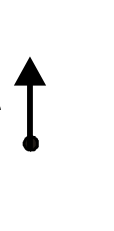 option