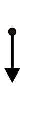 option