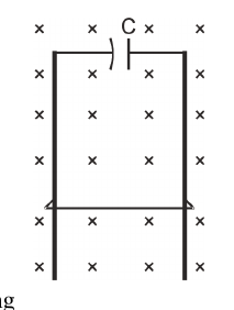 Question figure
