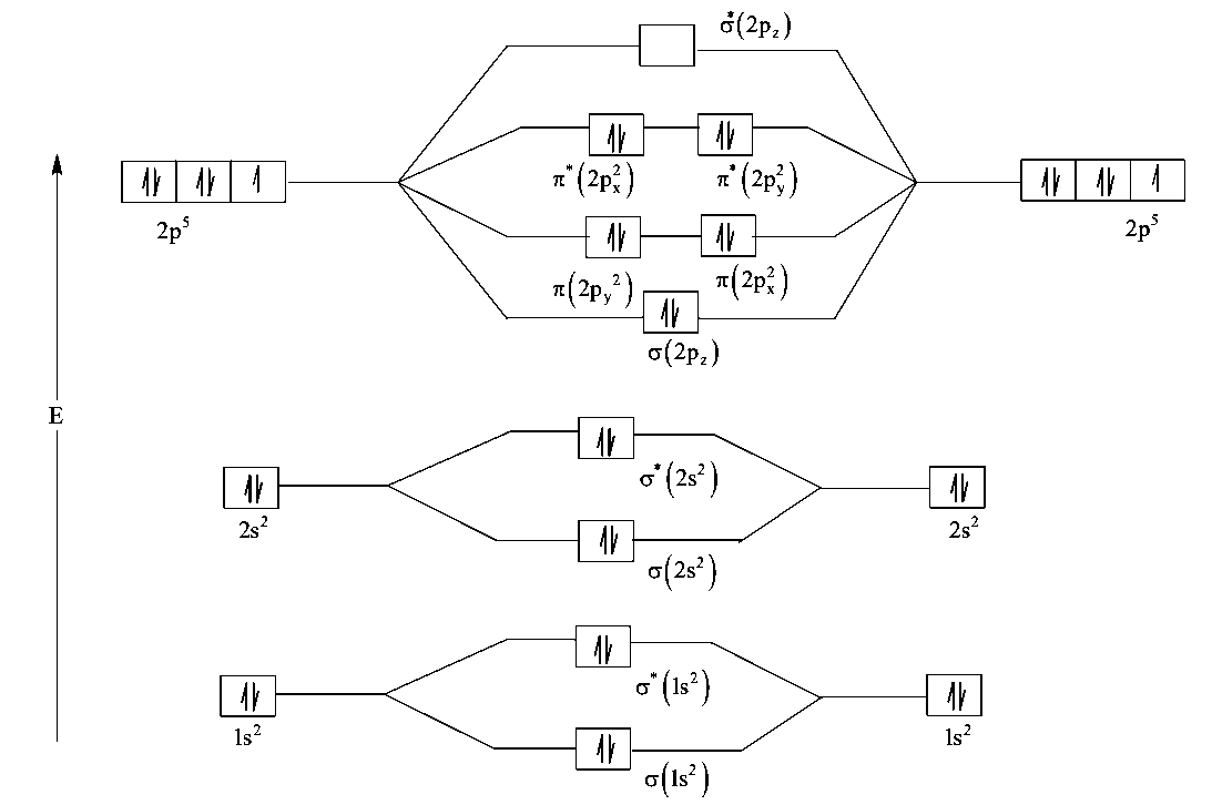 Question diagram: The correct molecular orbital diagram for F 2 molecule in th