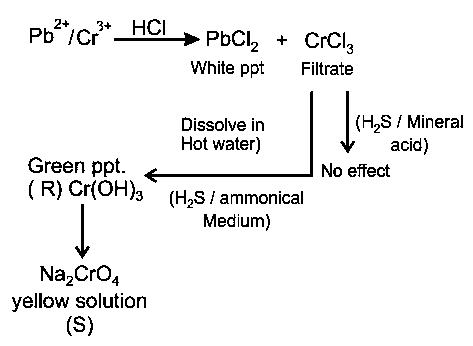 Question diagram: Question: The coloured solution S contains