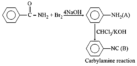 Question diagram: Hoffmann bromamide degradation of benzamide gives product A