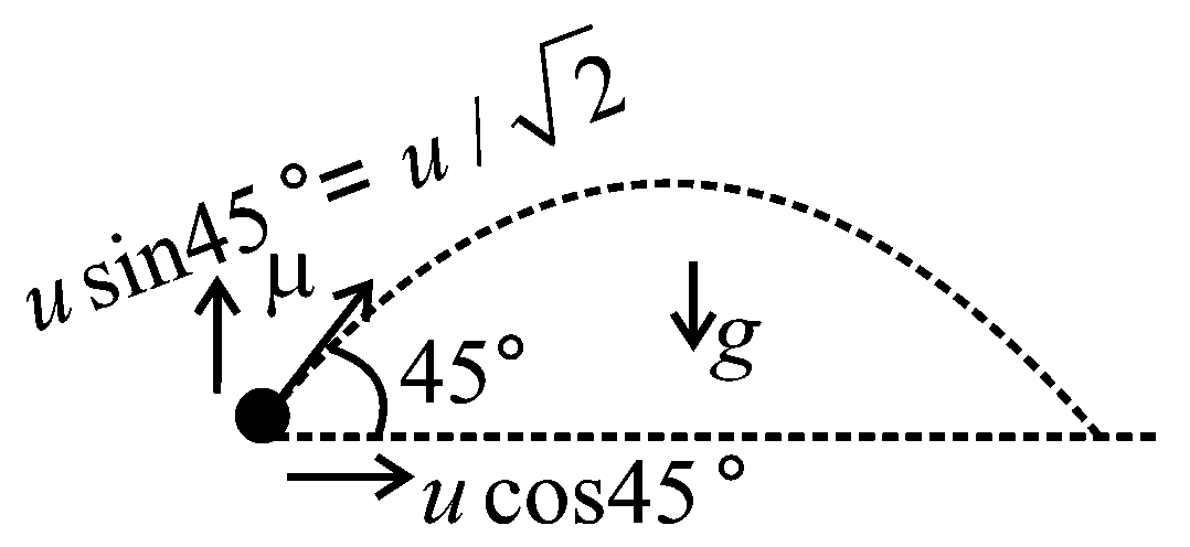 Question diagram: A body is projected from the ground at an angle of 45 ° with