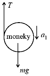 Question diagram: A monkey of mass 50 kg climbs on a rope which can withstand