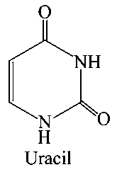 Question diagram: Out of following isomeric forms of uracil, which one is pres