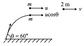 Question diagram: A particle of mass m is projected with a speed u from the gr