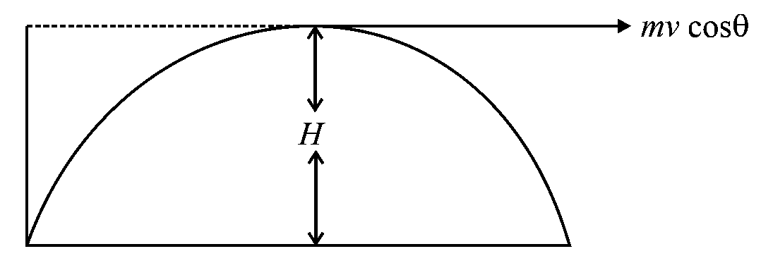 Question diagram: A ball of mass 160 g is thrown up at an angle of 60 ° to the