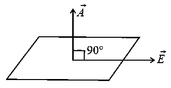 Question diagram: Choose the incorrect statement: (a) The electric lines of fo
