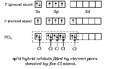 Question diagram: Identify the incorrect statement for PCl 5 from the followin