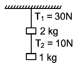 Question diagram: One end of a metal wire is fixed to a ceiling and a load of 