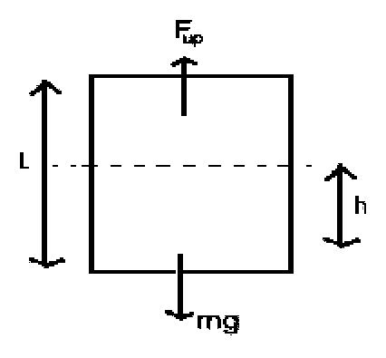 Question diagram: A cylindrical block of wood (density = 650 kg m - 3 ), of ba