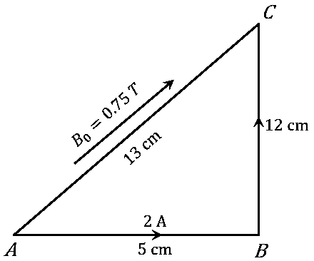 Question diagram: A single turn current loop in the shape of a right angle tri