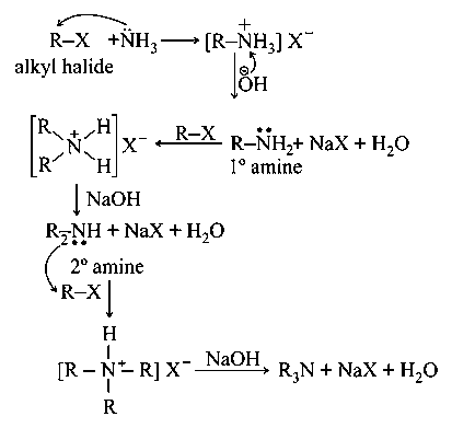 Question diagram: Ammonolysis of Alkyl halides followed by the treatment with