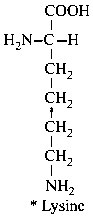 Question diagram: Which of the following will react with CHCl 3 + alc . KOH ?