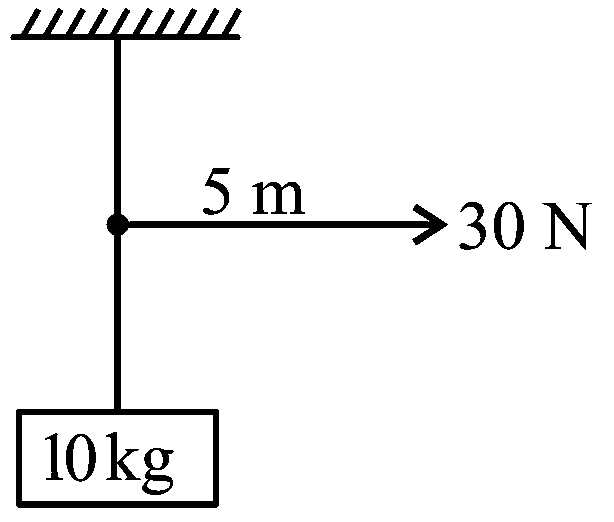 Question diagram: A mass of 10 kg is suspended vertically by a rope of length