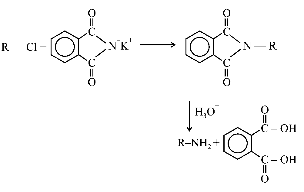 Question diagram: Which of the following amines can be prepared by Gabriel pht