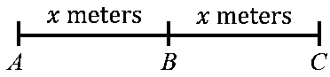 Question diagram: A horse rider covers half the distance with 5 m s - 1 speed.